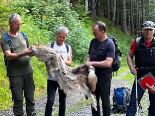 ARGE Schutzwaldtagung SGFV 2024 Exkursion Wolf im Taminatal Martin Allemann (10).jpg